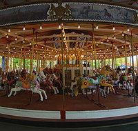 Merry-Go-Round - Accommodation Coffs Harbour