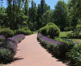Glebe Park - Accommodation Coffs Harbour 1