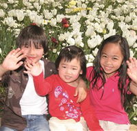 Commonwealth Park - Accommodation Coffs Harbour