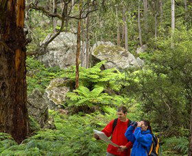 Centennial Glen - Accommodation Coffs Harbour 0