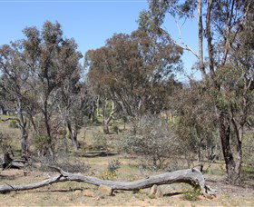 Canberra ACT Accommodation Coffs Harbour