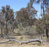 Remembrance Nature Park - Accommodation Coffs Harbour
