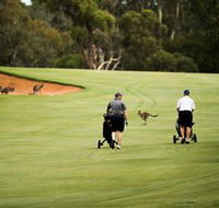 Federal Golf Club - Accommodation Coffs Harbour