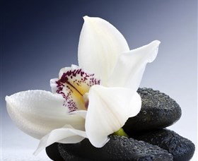 H2O Spa - Accommodation Coffs Harbour 1