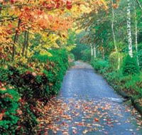 Mount Wilson and Mount Irvine - Accommodation Coffs Harbour