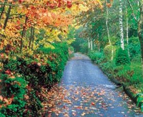 Mount Wilson And Mount Irvine - Accommodation Coffs Harbour 0