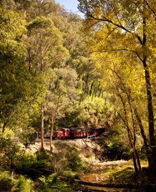 Walhalla Goldfields Railway - Accommodation Coffs Harbour 3