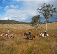 Chapman Valley Horse Riding - Accommodation Coffs Harbour