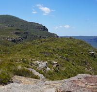 Mount Banks Road cycle route - Accommodation Coffs Harbour