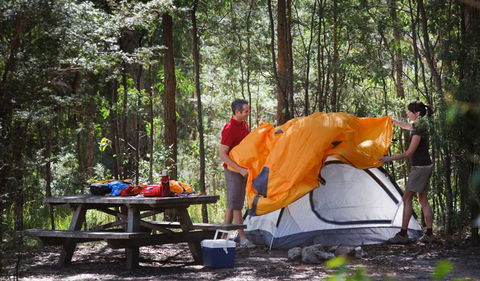 Bald Rock National Park - Accommodation Coffs Harbour 1