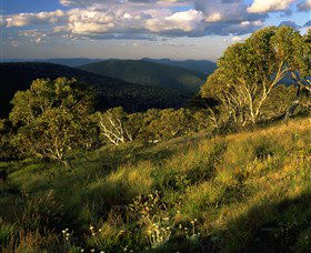 Namadgi National Park And Visitors Centre - Accommodation Coffs Harbour 2