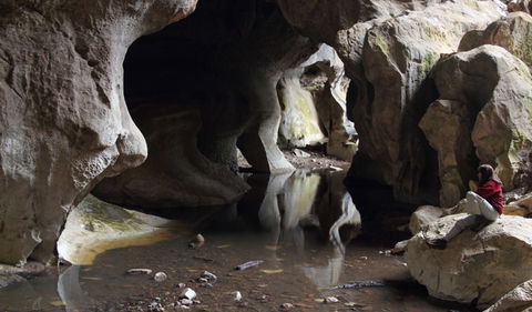 Fig Tree Cave - Accommodation Coffs Harbour 2