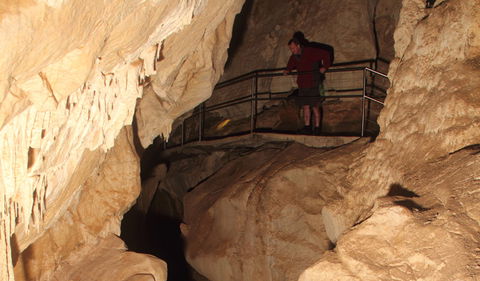 Fig Tree Cave - Accommodation Coffs Harbour 3