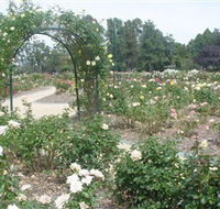 Victoria Park Rose Garden - Accommodation Coffs Harbour