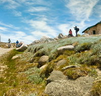 Mount Kosciuszko Summit walk - Accommodation Coffs Harbour