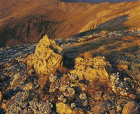 Kosciuszko National Park - Charlottes Pass To Snowy River - Accommodation Coffs Harbour 1