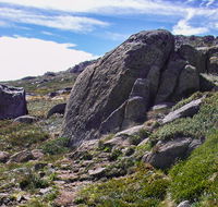 Mount Stillwell walk - Accommodation Coffs Harbour