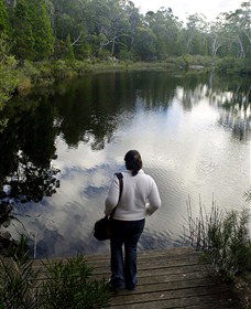 Boonoo Boonoo Falls National Park - Accommodation Coffs Harbour 1