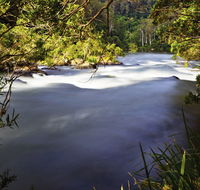 River walk - Accommodation Coffs Harbour