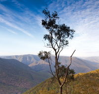 Salisbury Waters walking track - Accommodation Coffs Harbour