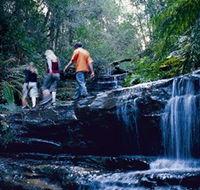 South Lawson Waterfall Circuit - Accommodation Coffs Harbour