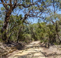 Howes trail - Accommodation Coffs Harbour