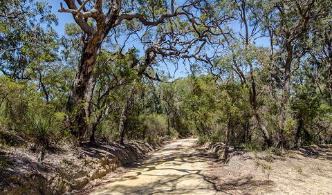 Howes Trail - Accommodation Coffs Harbour 0