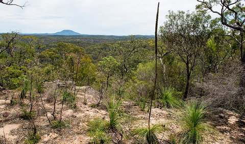 Howes Trail - Accommodation Coffs Harbour 1