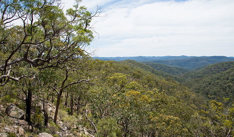 Howes Trail - Accommodation Coffs Harbour 2