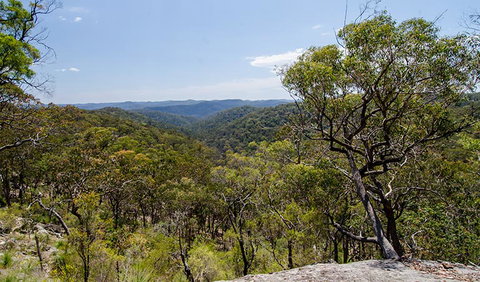 Howes Trail - Accommodation Coffs Harbour 3