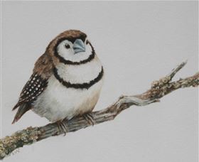 Bungendore Fine Art - Accommodation Coffs Harbour 1