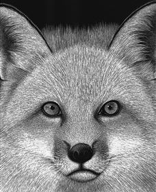 Bungendore Fine Art - Accommodation Coffs Harbour 2