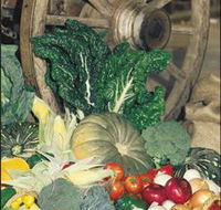 Mulgowie Real Farmers Markets - Accommodation Coffs Harbour