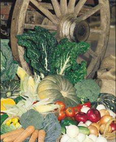 Mulgowie Real Farmers Markets - Accommodation Coffs Harbour 0