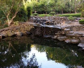 Bundaberg Botanic Gardens And Playground - Accommodation Coffs Harbour 1
