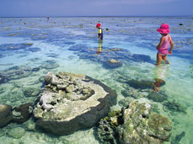 Southern Great Barrier Reef - Accommodation Coffs Harbour 1