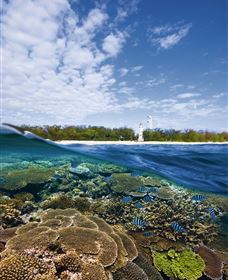 Southern Great Barrier Reef - Accommodation Coffs Harbour 2