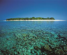 Southern Great Barrier Reef - Accommodation Coffs Harbour 3