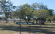 Boreham Park And Playground - thumb 0