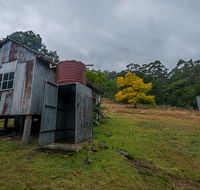 Nowendoc National Park - Accommodation Coffs Harbour