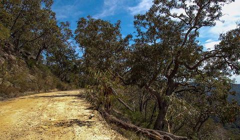 Parr State Conservation Area - Accommodation Coffs Harbour 0