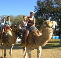 Calamunnda Camel Farm  - Accommodation Coffs Harbour