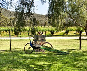 Stomp! Wines - Accommodation Coffs Harbour 3