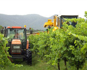 Stomp! Wines - Accommodation Coffs Harbour 8