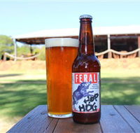 Feral Brewing Company - Accommodation Coffs Harbour