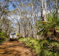 Barrington trail - Accommodation Coffs Harbour