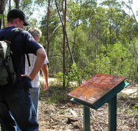Finchley cultural walk - Accommodation Coffs Harbour
