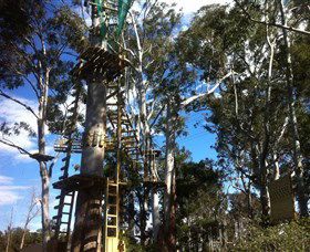 Trees Adventure Grose River Park - Accommodation Coffs Harbour 1