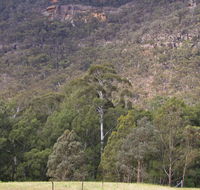 Bangadilly National Park - Accommodation Coffs Harbour