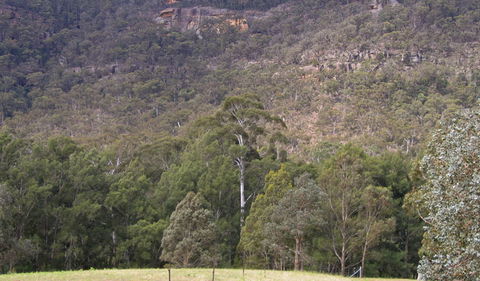 Bangadilly National Park - Accommodation Coffs Harbour 0